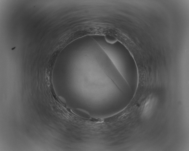 X0000083641013200702121118