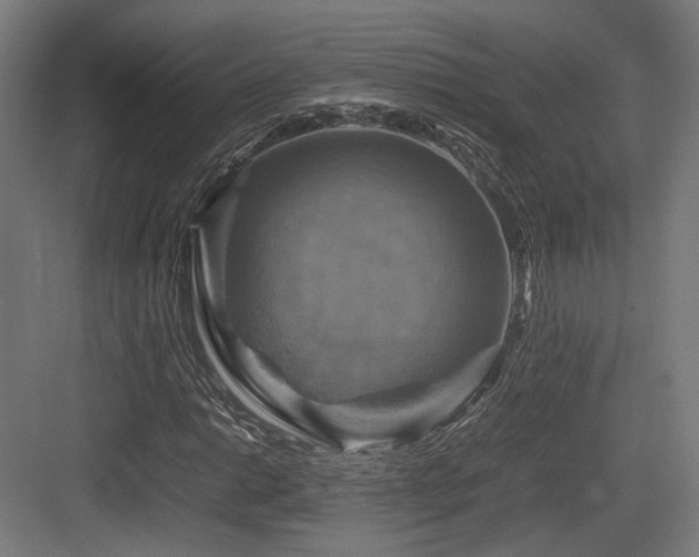 X0000083641014200702121118