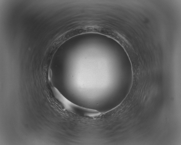 X0000083641015200702121118