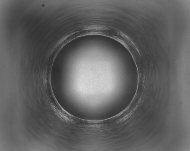 X0000083641017200702121118