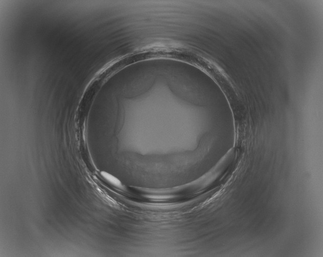 X0000083641018200702121118