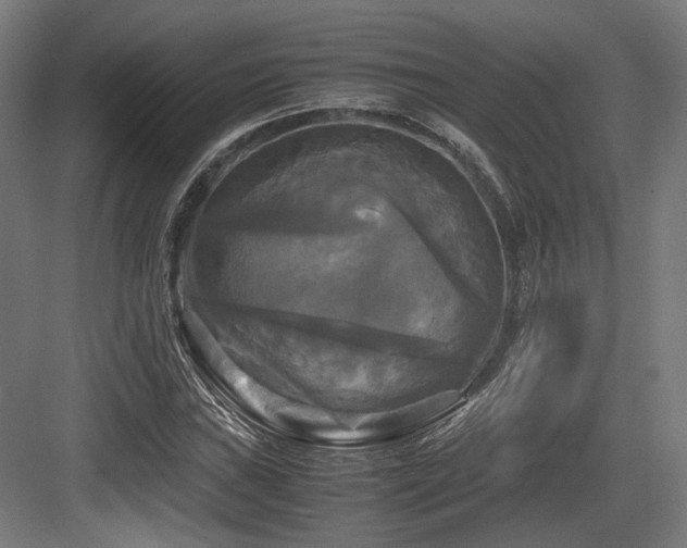 X0000083641019200702121118