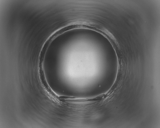 X0000083641020200702121118