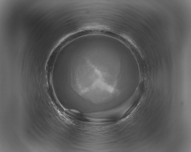 X0000083641022200702121118