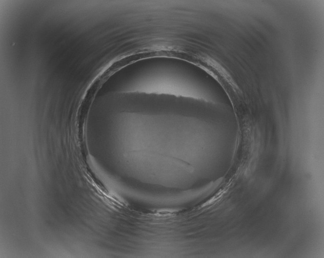 X0000083641023200702121118