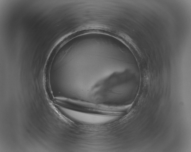 X0000083641024200702121118