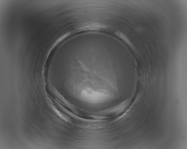 X0000083641026200702121118