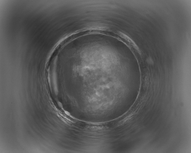 X0000083641027200702121118