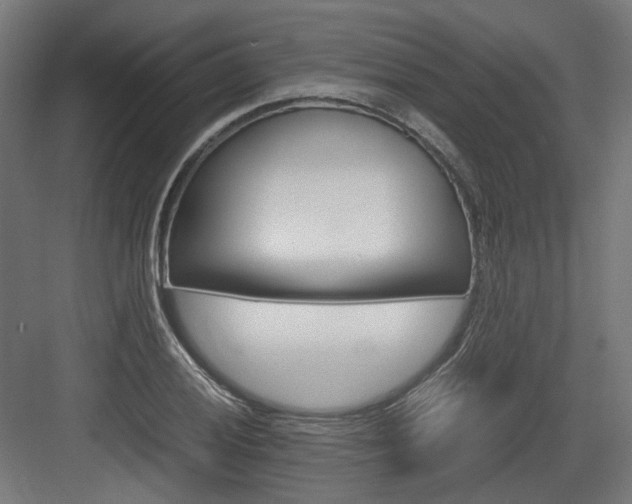 X0000083641028200702121118