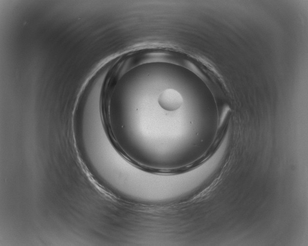 X0000083641030200702121118