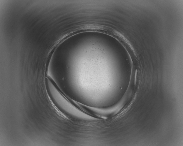 X0000083641033200702121119