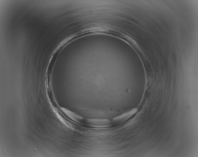 X0000083641034200702121119