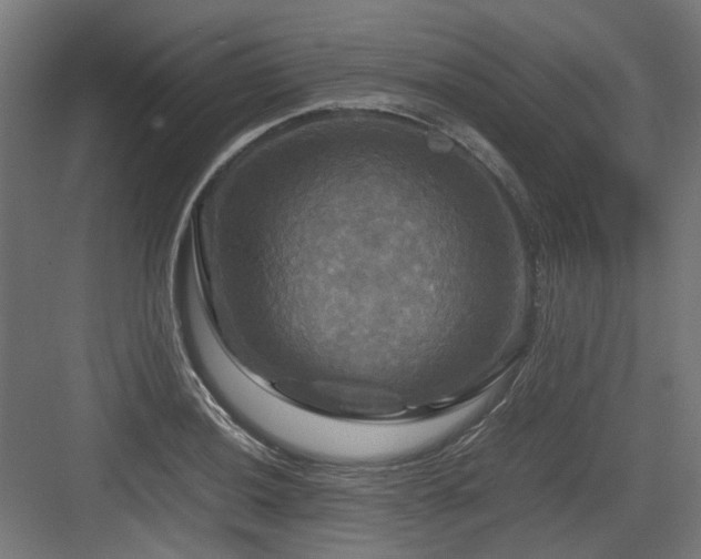 X0000083641036200702121119