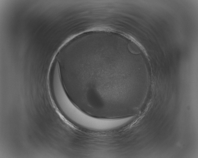 X0000083641037200702121119