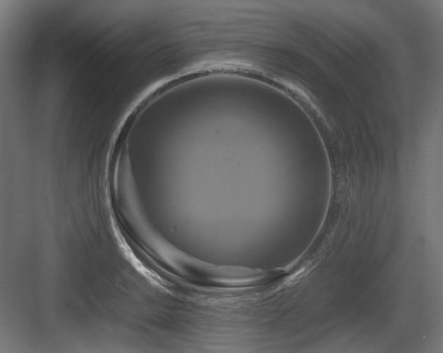 X0000083641038200702121119