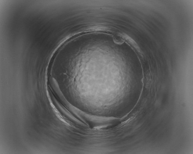 X0000083641039200702121119