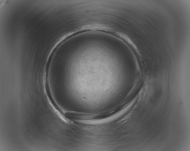 X0000083641040200702121119