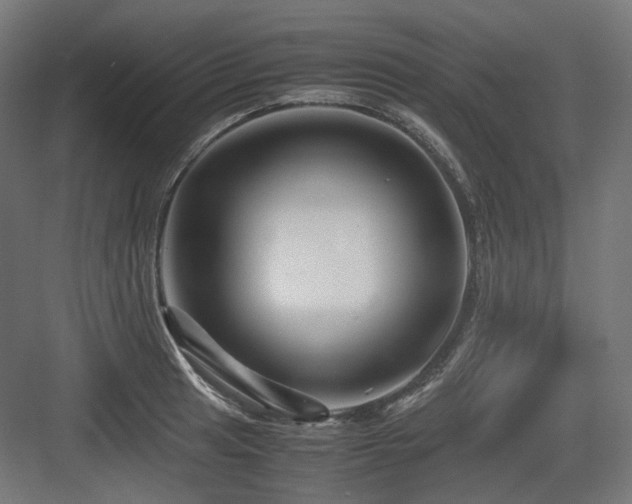 X0000083641041200702121119