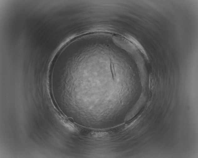 X0000083641043200702121119