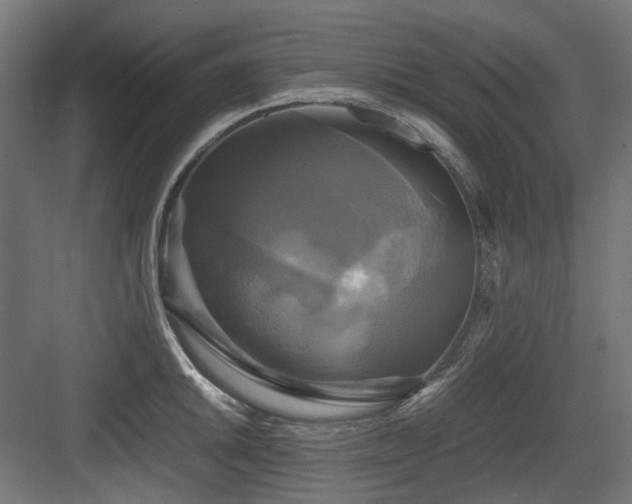 X0000083641046200702121119