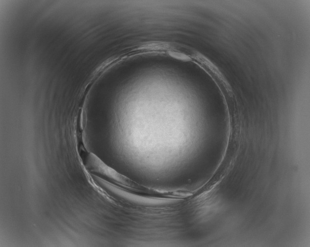 X0000083641049200702121119