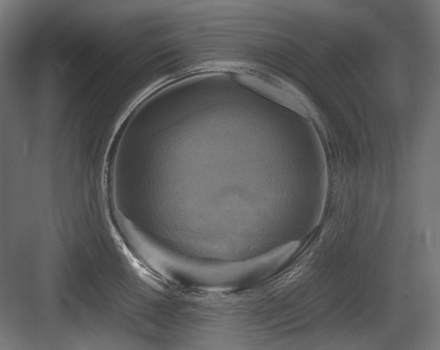 X0000083641050200702121119