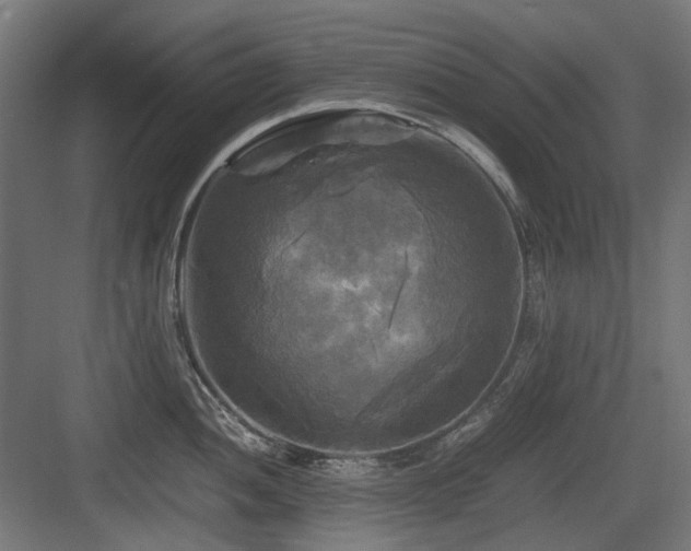 X0000083641052200702121119