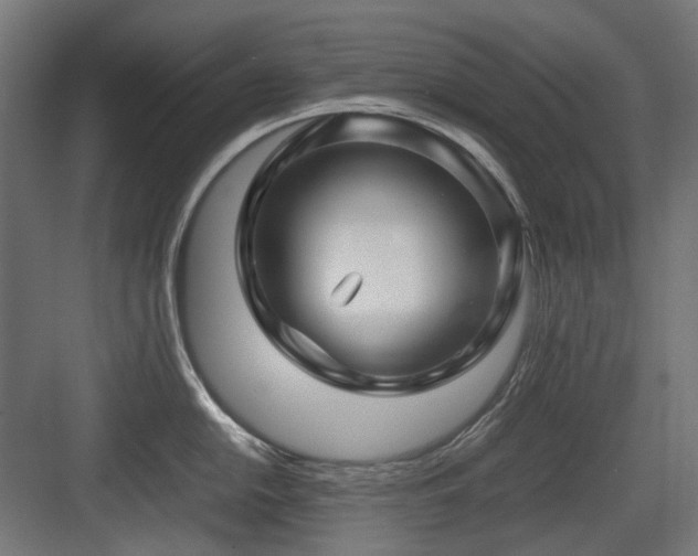 X0000083641054200702121119