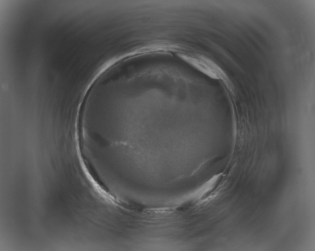 X0000083641055200702121119