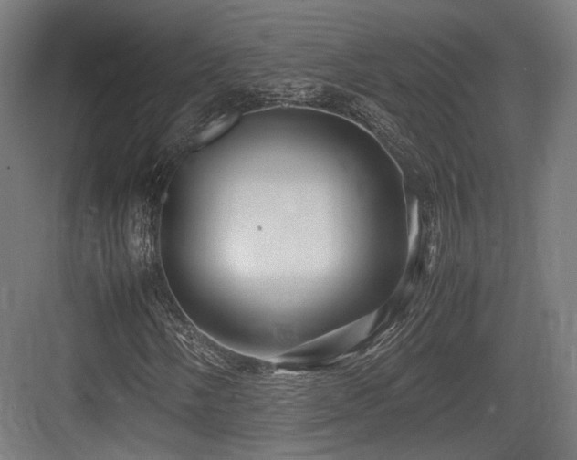 X0000083641058200702121118