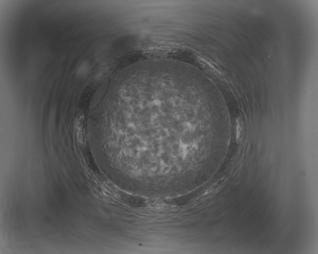 X0000083641059200702121118