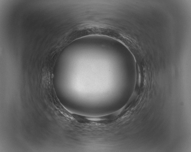 X0000083641061200702121118