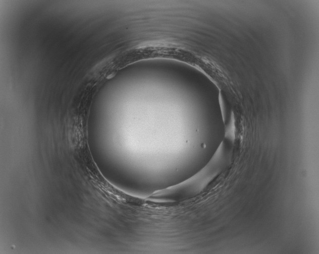 X0000083641062200702121118