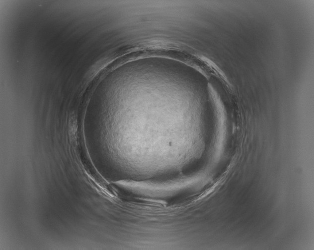 X0000083641065200702121118