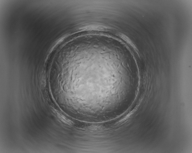 X0000083641067200702121118