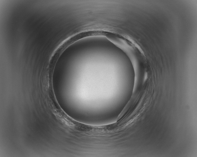 X0000083641069200702121118
