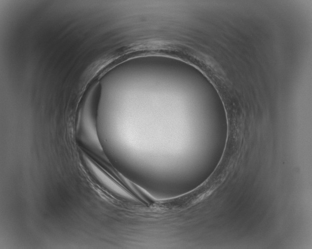 X0000083641073200702121118