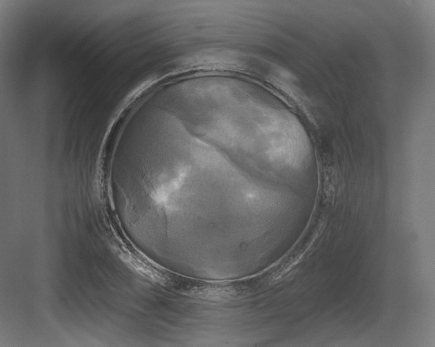 X0000083641074200702121118