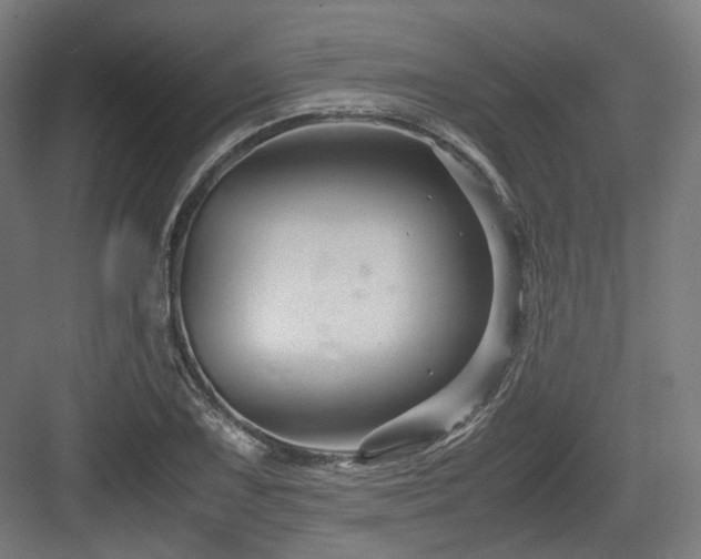 X0000083641075200702121118