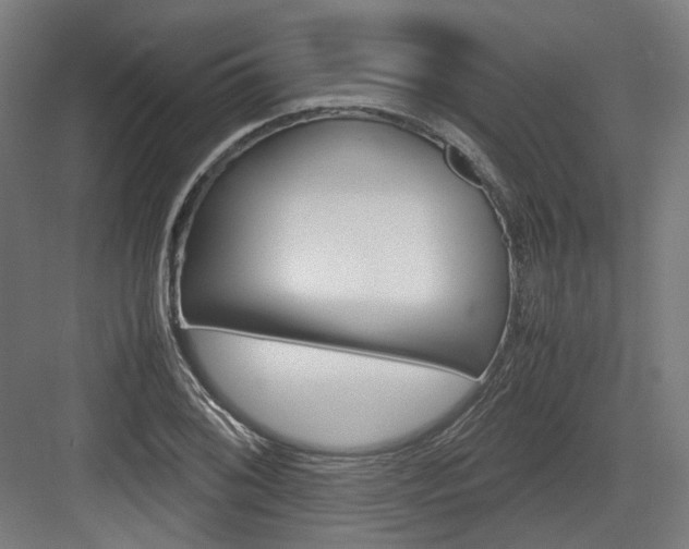X0000083641076200702121118