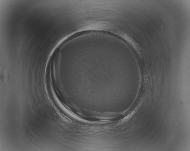 X0000083641077200702121118
