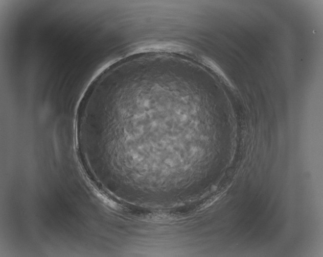 X0000083641079200702121118