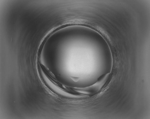 X0000083641085200702121118