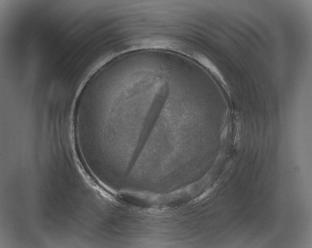 X0000083641088200702121118