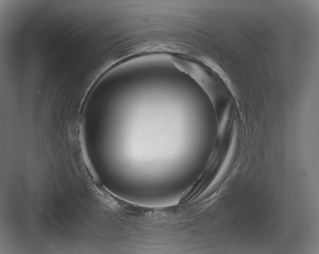 X0000083641089200702121118