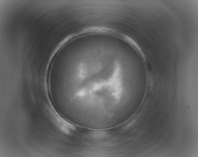 X0000083641090200702121118