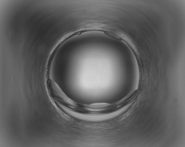 X0000083641093200702121118