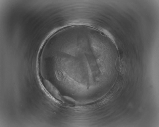 X0000083641096200702121117