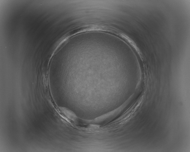 X0000083641097200702121117