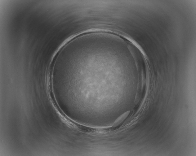 X0000083641101200702121117